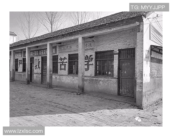 周静专访：从青涩球员到篮球教练的成长之路与心路历程